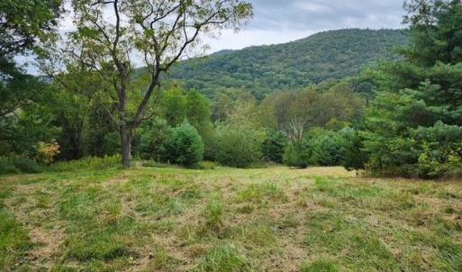 Photo #8 of ROCKY BRANCH RD, LURAY, VA 71.0 acres