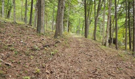 Photo #3 of ROCKY BRANCH RD, LURAY, VA 71.0 acres