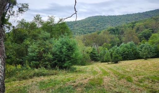Photo #6 of ROCKY BRANCH RD, LURAY, VA 71.0 acres