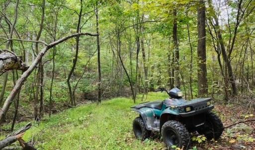 Photo #5 of ROCKY BRANCH RD, LURAY, VA 71.0 acres