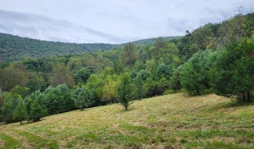 Photo #7 of ROCKY BRANCH RD, LURAY, VA 71.0 acres