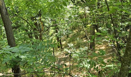 Photo #1 of 3 acres MOSSY CREEK RD, MOUNT SOLON, VA 3.0 acres