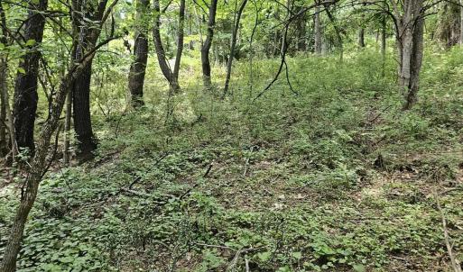 Photo #5 of 3.39 acres MOSSY CREEK RD, MOUNT SOLON, VA 3.4 acres
