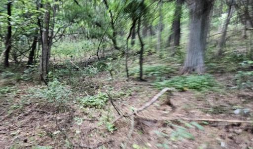 Photo #2 of 3.39 acres MOSSY CREEK RD, MOUNT SOLON, VA 3.4 acres