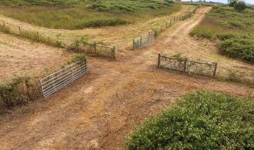 Photo #31 of 594 HEWITT RD, SWOOPE, VA 27.5 acres