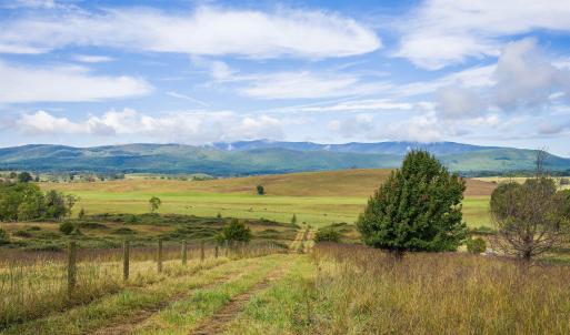 Photo #1 of 594 HEWITT RD, SWOOPE, VA 27.5 acres