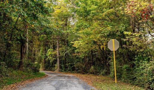 Photo #13 of TBD BALD ROCK RD, VERONA, VA 97.8 acres