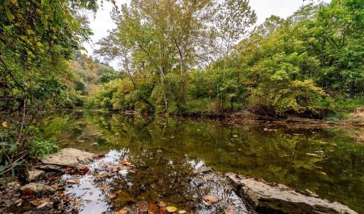 Photo #15 of TBD BALD ROCK RD, VERONA, VA 97.8 acres
