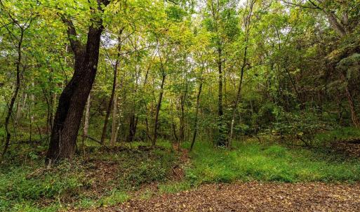 Photo #19 of TBD BALD ROCK RD, VERONA, VA 97.8 acres