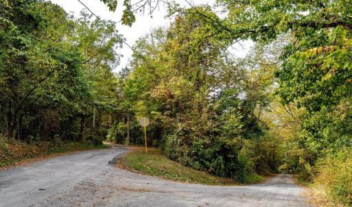 Photo #12 of TBD BALD ROCK RD, VERONA, VA 97.8 acres