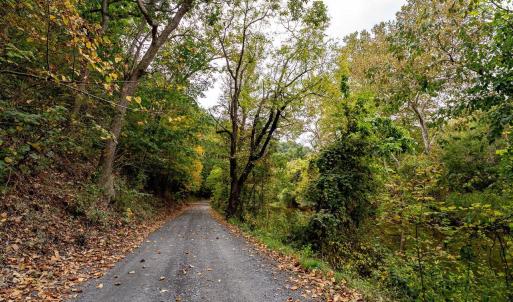 Photo #14 of TBD BALD ROCK RD, VERONA, VA 97.8 acres