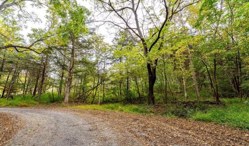 Photo #18 of TBD BALD ROCK RD, VERONA, VA 97.8 acres