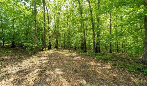 Photo #2 of 1309 SALEM RD, SCHUYLER, VA 3.3 acres