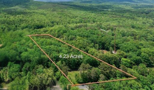 Photo #1 of 1309 SALEM RD, SCHUYLER, VA 4.2 acres