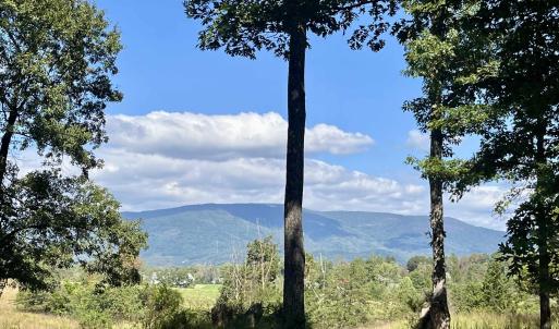 Photo #19 of MIDWAY RD, CHARLOTTESVILLE, VA 66.8 acres