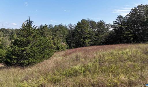 Photo #22 of MIDWAY RD, CHARLOTTESVILLE, VA 66.8 acres
