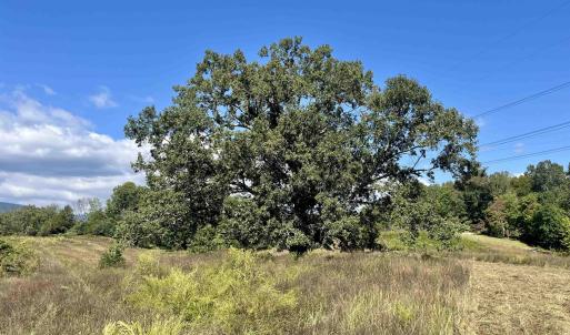 Photo #39 of MIDWAY RD, CHARLOTTESVILLE, VA 66.8 acres
