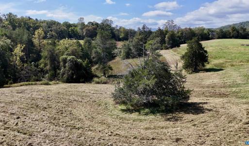 Photo #45 of MIDWAY RD, CHARLOTTESVILLE, VA 66.8 acres