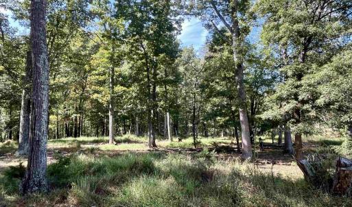 Photo #17 of MIDWAY RD, CHARLOTTESVILLE, VA 66.8 acres