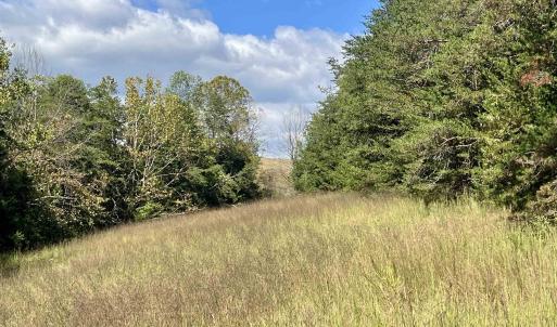 Photo #42 of MIDWAY RD, CHARLOTTESVILLE, VA 66.8 acres