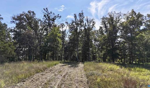 Photo #23 of MIDWAY RD, CHARLOTTESVILLE, VA 66.8 acres