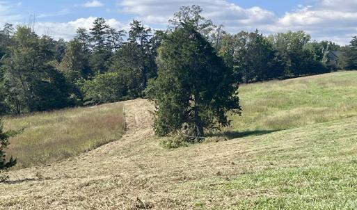 Photo #31 of MIDWAY RD, CHARLOTTESVILLE, VA 66.8 acres