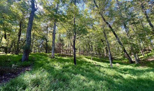 Photo #33 of MIDWAY RD, CHARLOTTESVILLE, VA 66.8 acres