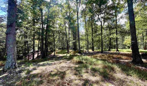 Photo #12 of MIDWAY RD, CHARLOTTESVILLE, VA 66.8 acres