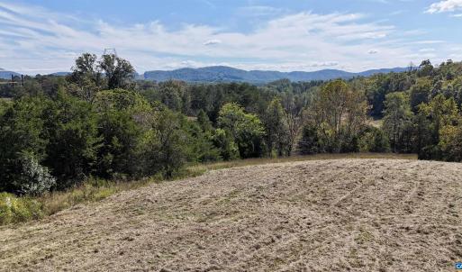Photo #47 of MIDWAY RD, CHARLOTTESVILLE, VA 66.8 acres
