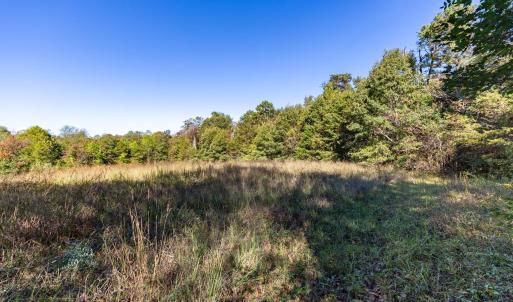 Photo #1 of ORANGE RD, PRATTS, VA 11.0 acres