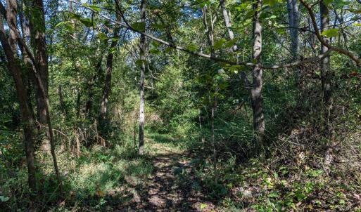 Photo #2 of ORANGE RD, PRATTS, VA 11.0 acres