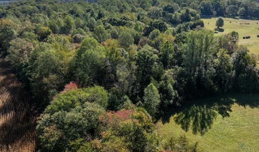 Photo #25 of ORANGE RD, PRATTS, VA 11.0 acres