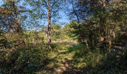 Photo #4 of ORANGE RD, PRATTS, VA 11.0 acres
