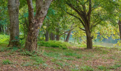 Photo #28 of TBD JONES OVERLOOK, HOWARDSVILLE, VA 125.6 acres
