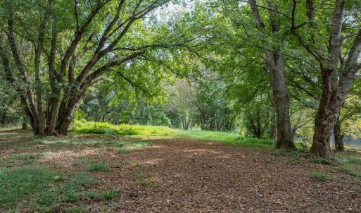 Photo #26 of TBD JONES OVERLOOK, HOWARDSVILLE, VA 125.6 acres