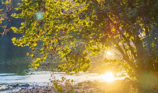 Photo #31 of TBD JONES OVERLOOK, HOWARDSVILLE, VA 125.6 acres