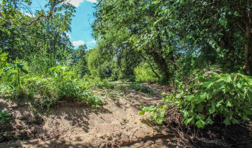 Photo #60 of TBD JONES OVERLOOK, HOWARDSVILLE, VA 125.6 acres