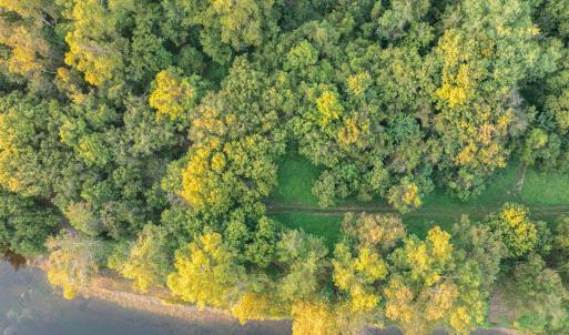 Photo #25 of TBD JONES OVERLOOK, HOWARDSVILLE, VA 125.6 acres