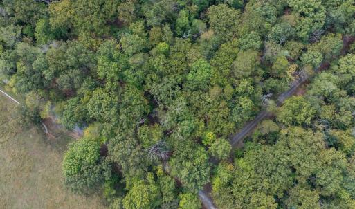 Photo #12 of TBD JONES OVERLOOK, HOWARDSVILLE, VA 125.6 acres