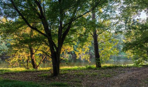 Photo #27 of TBD JONES OVERLOOK, HOWARDSVILLE, VA 125.6 acres