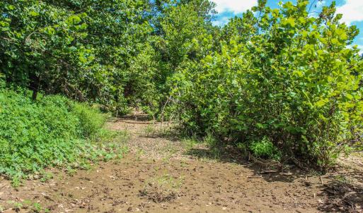 Photo #66 of TBD JONES OVERLOOK, HOWARDSVILLE, VA 125.6 acres