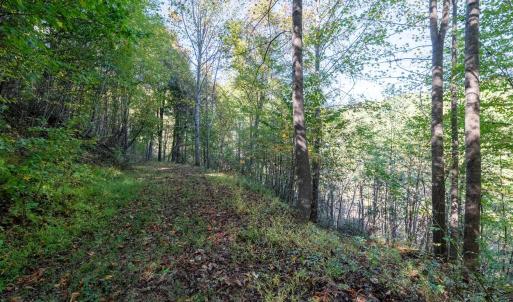 Photo #28 of 13630 CRABTREE FALLS HWY, TYRO, VA 22.8 acres