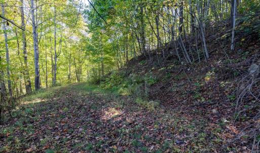 Photo #27 of 13630 CRABTREE FALLS HWY, TYRO, VA 22.8 acres