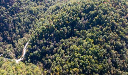 Photo #13 of 13630 CRABTREE FALLS HWY, TYRO, VA 22.8 acres