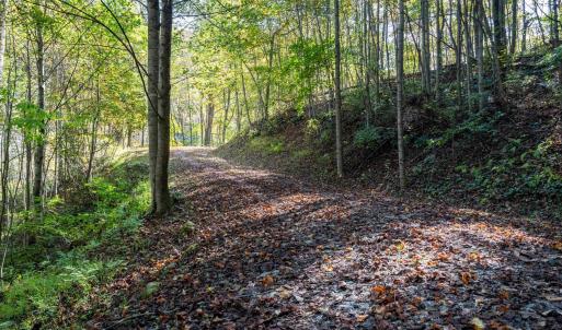Photo #31 of 13630 CRABTREE FALLS HWY, TYRO, VA 22.8 acres