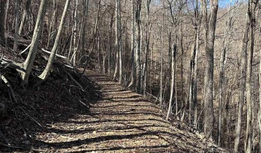 Photo #39 of 13630 CRABTREE FALLS HWY, TYRO, VA 22.8 acres