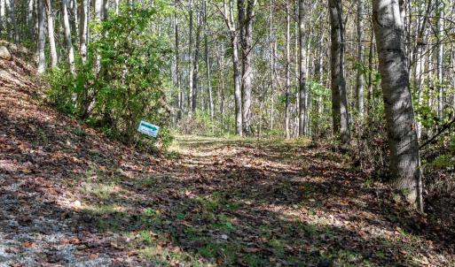 Photo #29 of 13630 CRABTREE FALLS HWY, TYRO, VA 22.8 acres