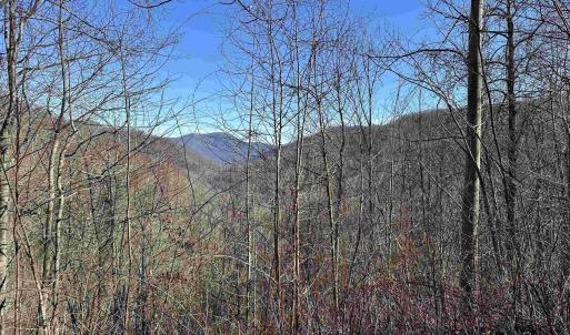 Photo #7 of 13630 CRABTREE FALLS HWY, TYRO, VA 22.8 acres