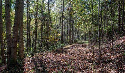 Photo #22 of 13630 CRABTREE FALLS HWY, TYRO, VA 22.8 acres