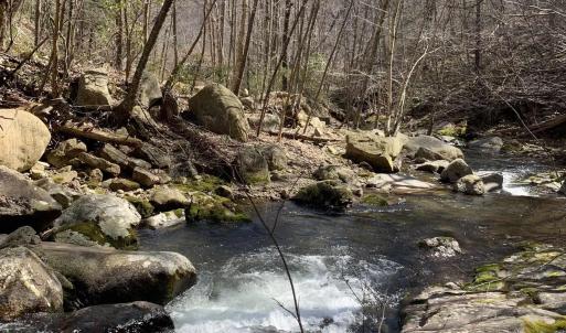 Photo #4 of 13630 CRABTREE FALLS HWY, TYRO, VA 22.8 acres
